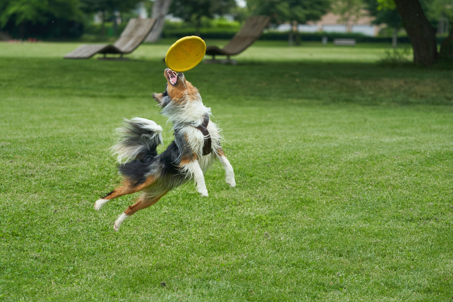 Fun Outdoor Activities Summer Box