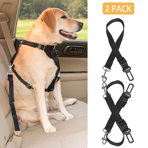 Adjustable Seat Belt Leash