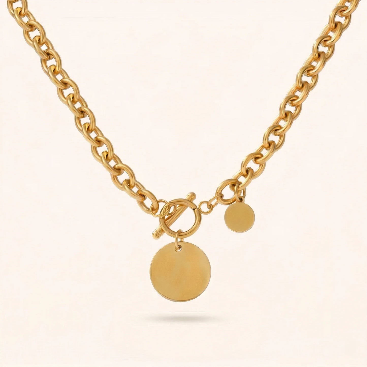 Medallion Toggle Necklace