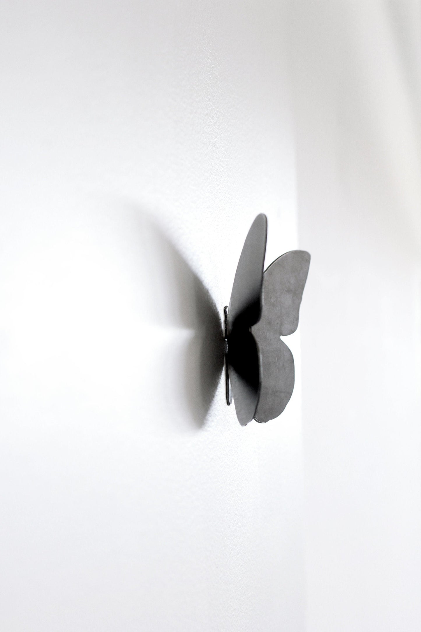 Butterfly Wall Hook by Jubilee Trading Company