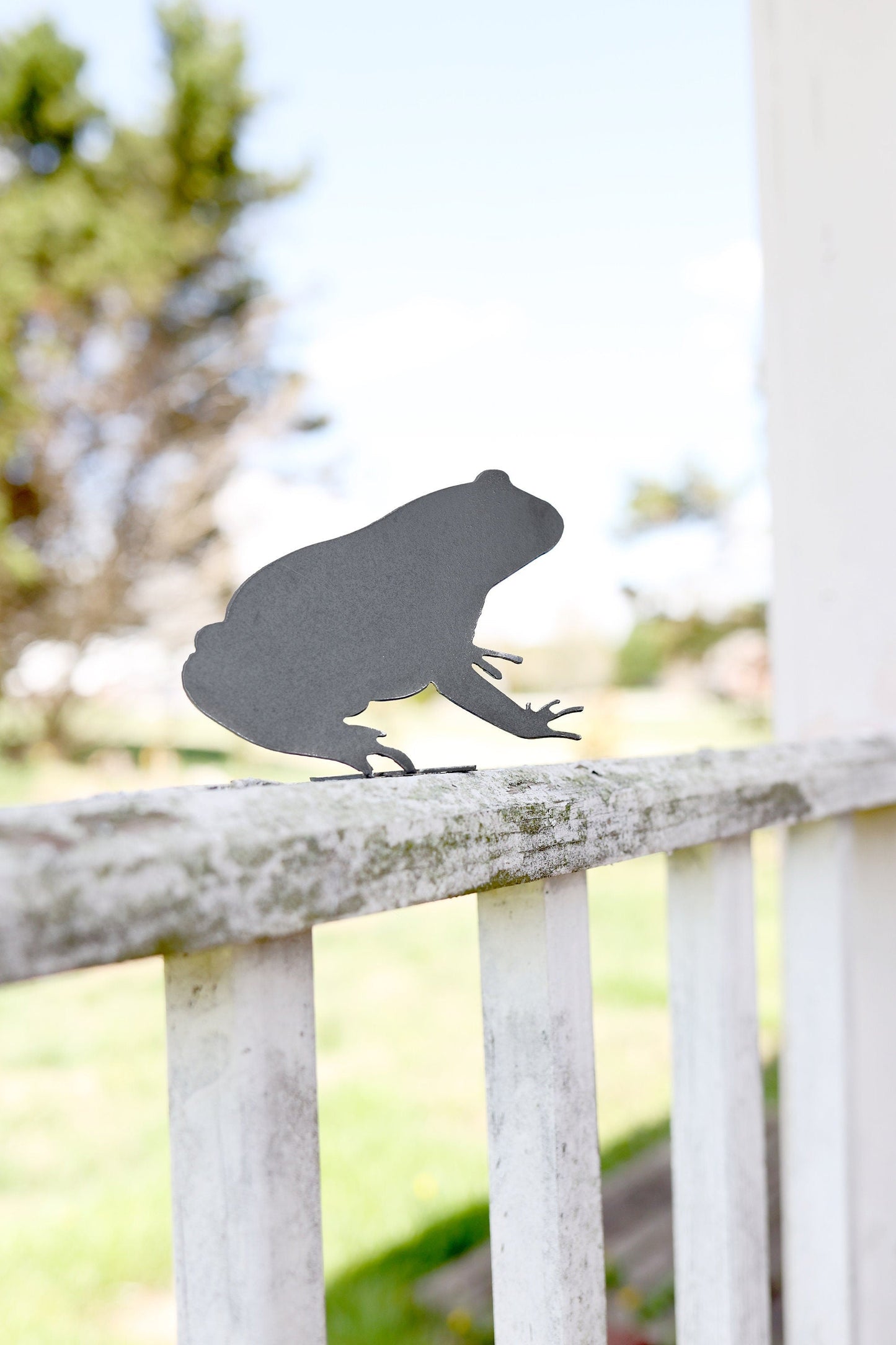 Frog Statue
