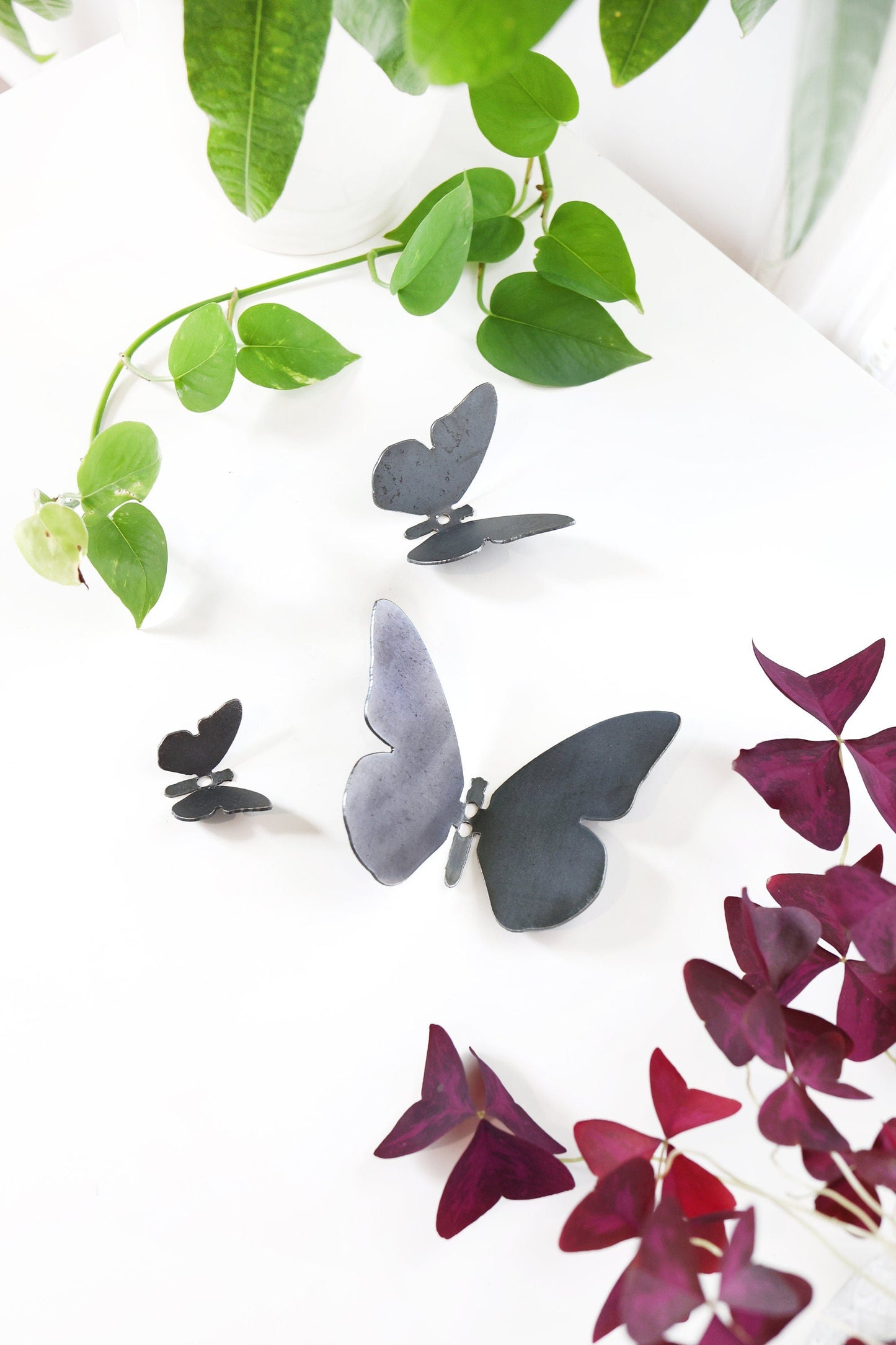 Butterfly Wall Hook by Jubilee Trading Company