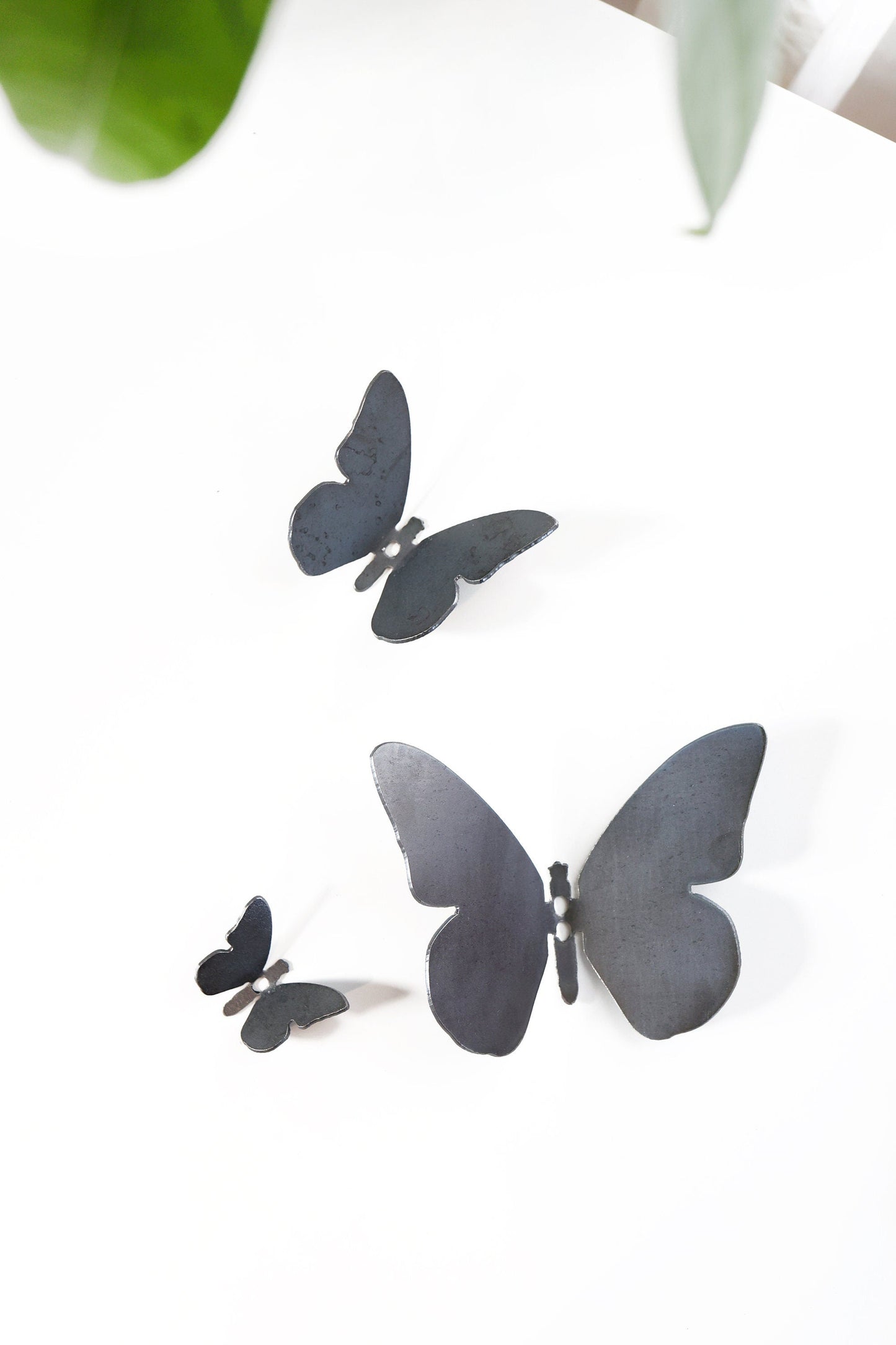 Butterfly Wall Hook by Jubilee Trading Company