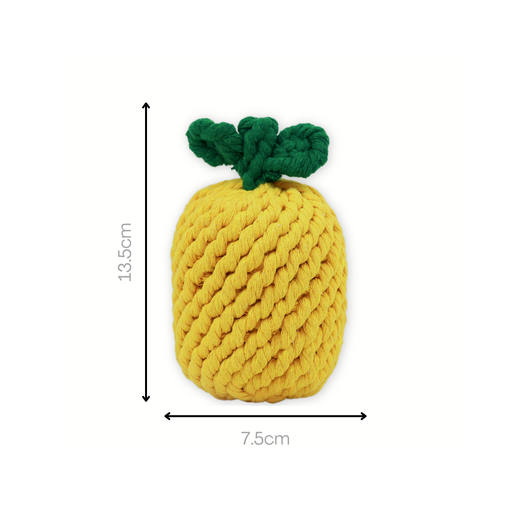 A pineapple-shaped pet toy made from durable cotton rope, perfect for chewing and interactive play, promoting dental health and keeping pets entertained.