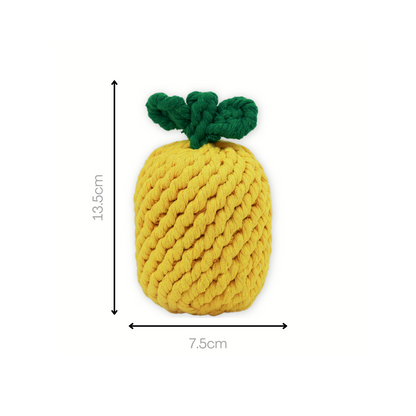 A pineapple-shaped pet toy made from durable cotton rope, perfect for chewing and interactive play, promoting dental health and keeping pets entertained.