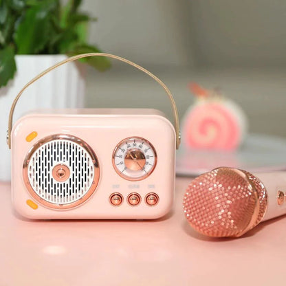 On-the-Go Mini Karaoke Kit