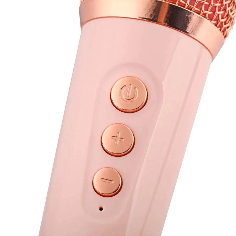 On-the-Go Mini Karaoke Kit