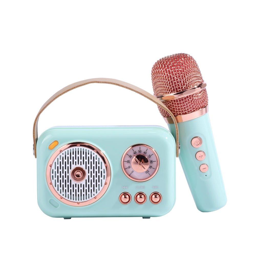 On-the-Go Mini Karaoke Kit