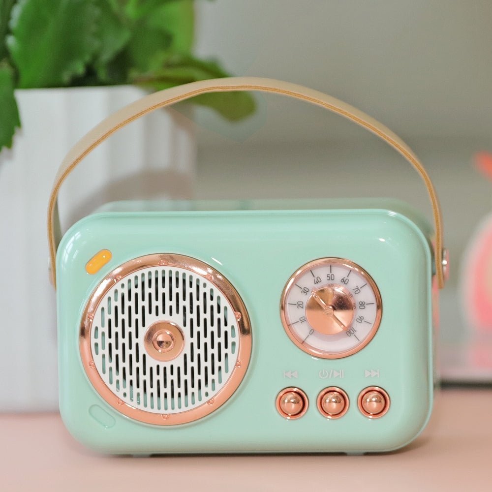 On-the-Go Mini Karaoke Machine by Multitasky