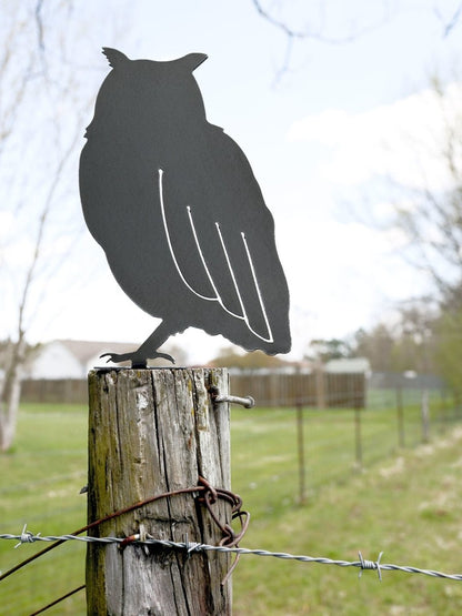Owl Statue