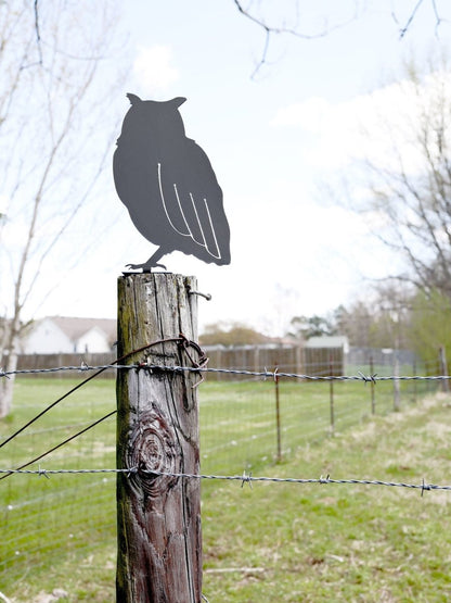 Owl Statue