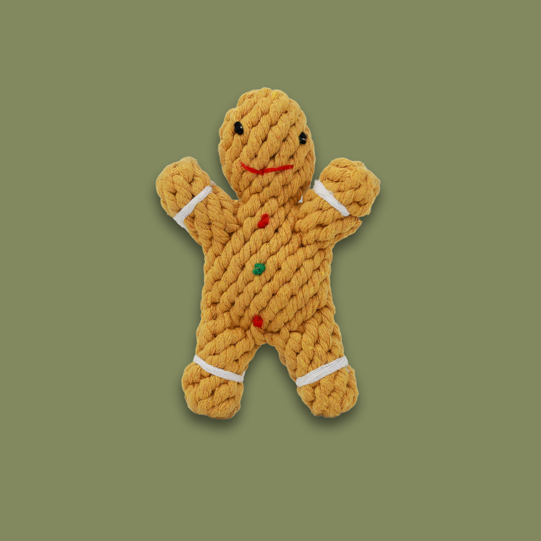 Handwoven gingerbread man pet toy made from durable cotton rope. Ideal for dogs and cats to chew, play, and enjoy. A festive and sturdy addition to your pet's toy collection.