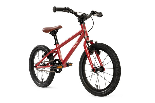 Hedgehog Lightweight Single Speed 16 Inch Kids Bike