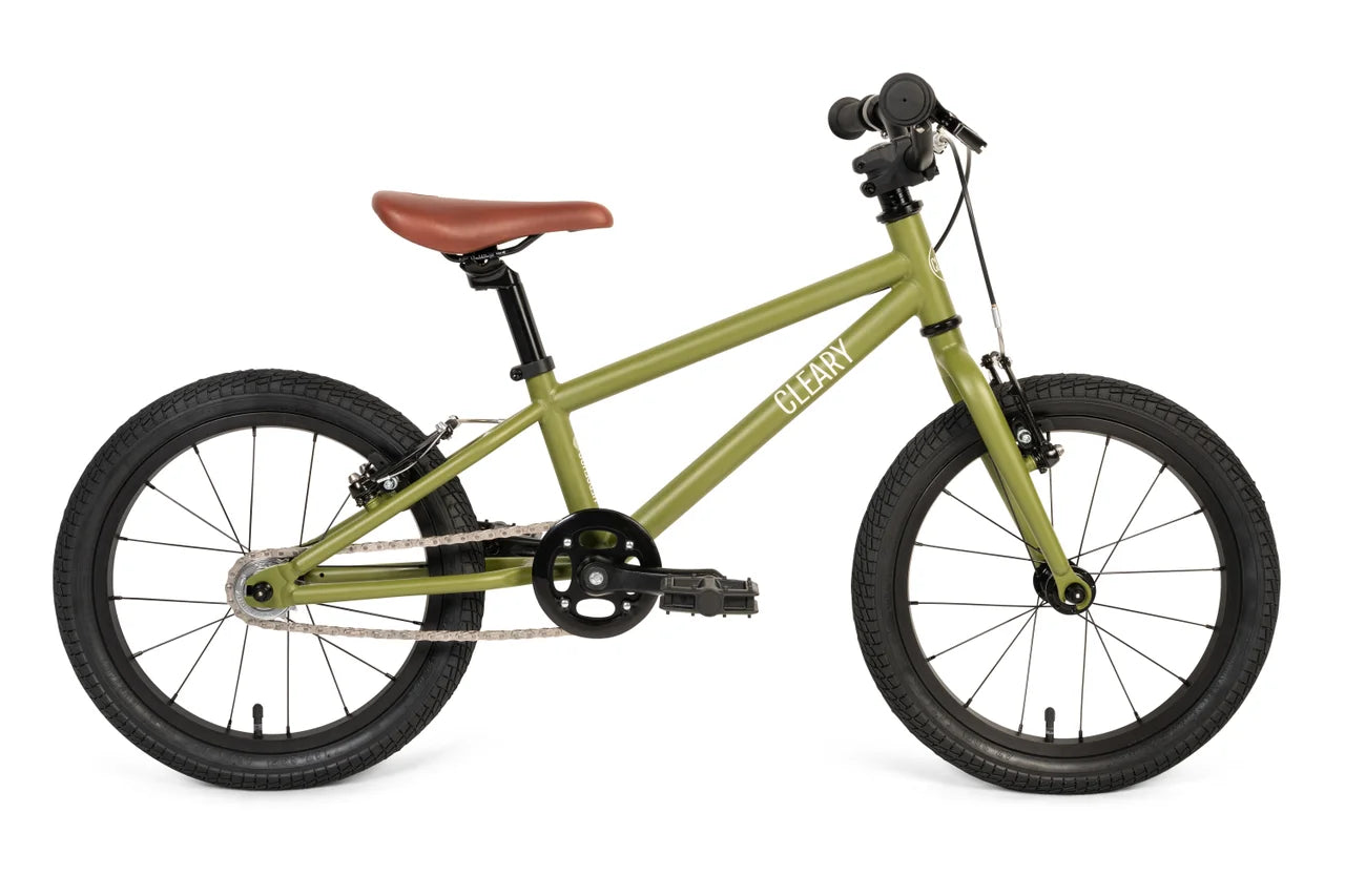 Hedgehog Lightweight Single Speed 16 Inch Kids Bike