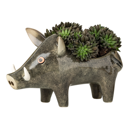 Handmade Ceramic Wild Boar Planter