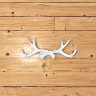 Antler Wall Hook - White