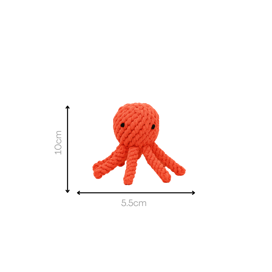 octopus-shaped pet toy made from durable cotton rope, perfect for chewing and interactive play, promoting dental health and providing hours of entertainment for dogs.