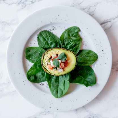 Alaska Plate Set by Tuxton Home