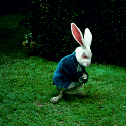White Rabbit